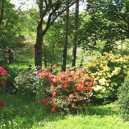 Inverawe Cottages 泰努尔特 外观 照片