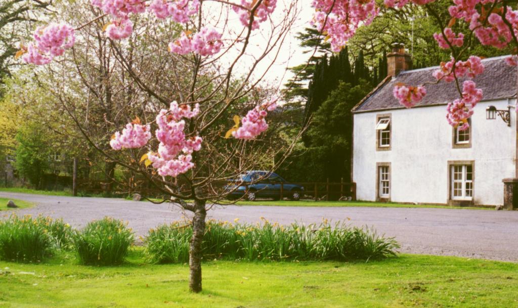 Inverawe Cottages 泰努尔特 客房 照片
